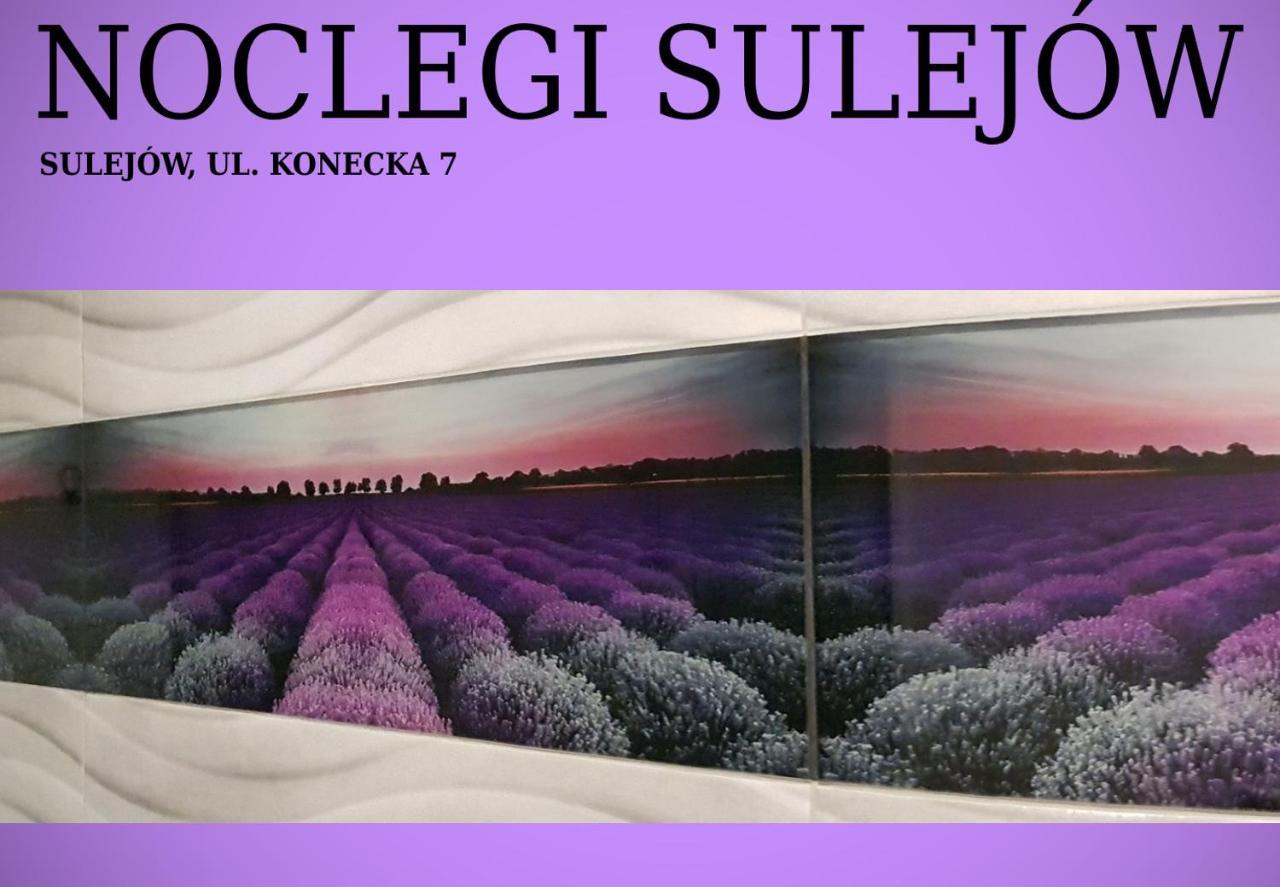 Noclegi 술레요프 외부 사진